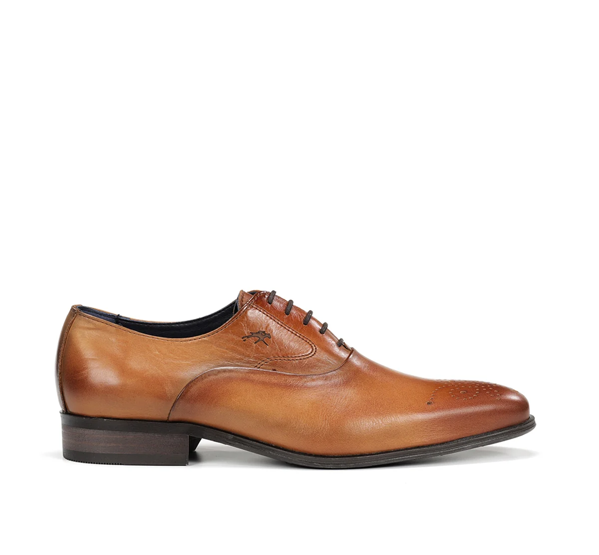 CESAR F0404 Chaussure Brun