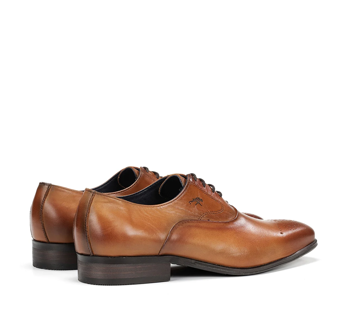 CESAR F0404 Chaussure Brun - Image 3