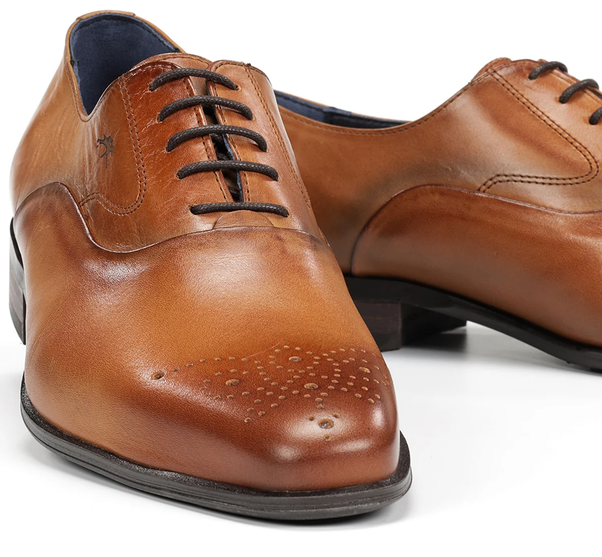 CESAR F0404 Chaussure Brun - Image 7